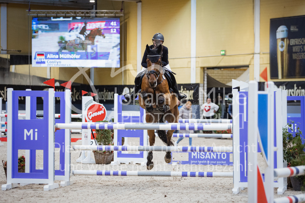 221112_Warstein_L-Spr-182 | Deine schönsten Turniermomente als professionelle Fotos! Entdecke hochwertige Pferdesport-Fotografie im Online-Shop. Jetzt Fotos finden & bestellen!