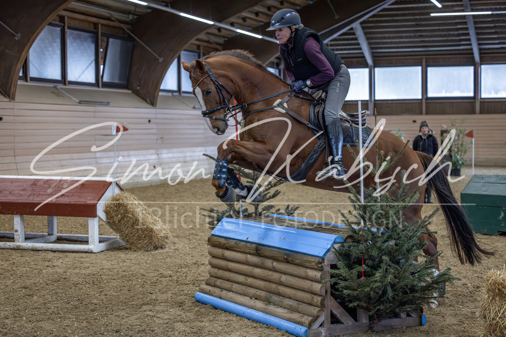 20260221-_3LI8782 | Tierfotografie Pferde, Hunde, Katzen, Haustiere.
Turnierfotografie Reitturniere, Reiten, Springreiten, Dressur in Hanau, dem Main-Kinzig-Kreis und dem Rhein-Main- Gebiet um Frankfurt