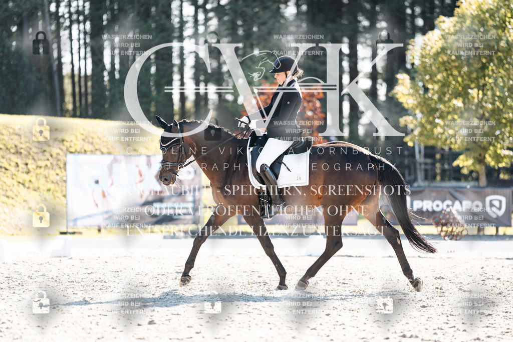 CK906337 | Turnierfotografie Pferdefotografie Trier Rheinland-Pfalz Pferdesport Reitsport Tierfotografie Sportfotografie Pferdevideo Pferdevideografie Equestrianvideography equestrianphotography  - Realisiert mit Pictrs.com