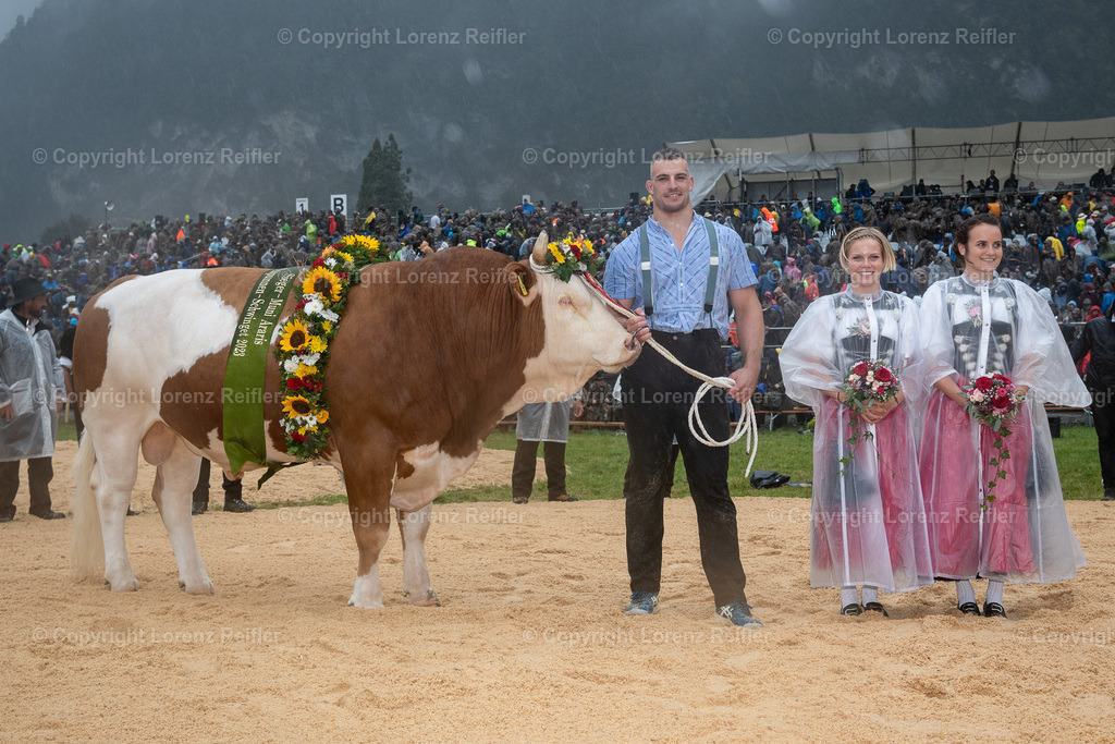 Schwingen -  Unspunnen 2023 | Interlaken, 27.8.23, Schwingen - Unspunnen.