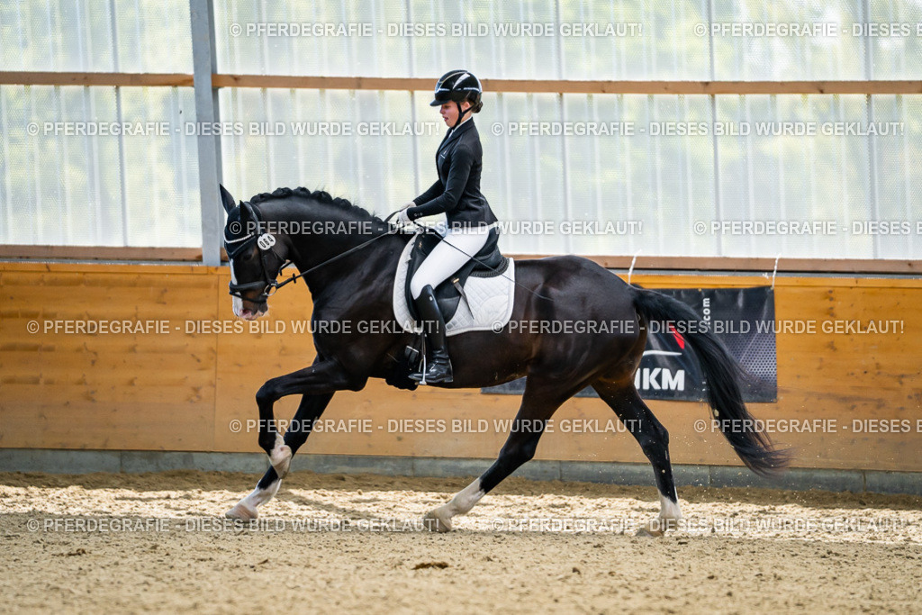 DSC05910 | Pferdegrafie