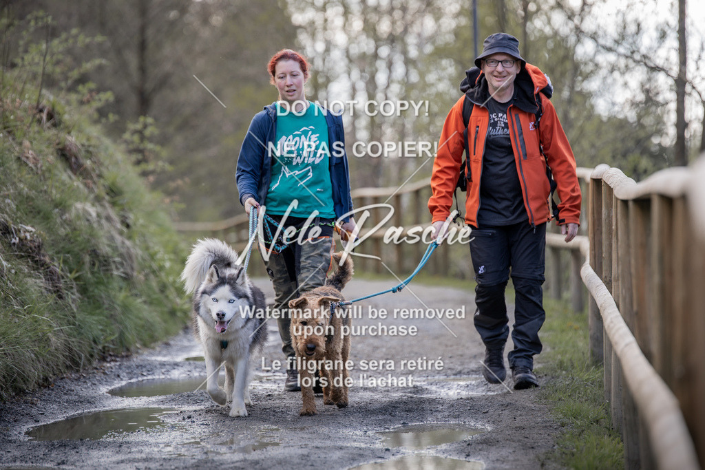 NR__0811 | nelerasche