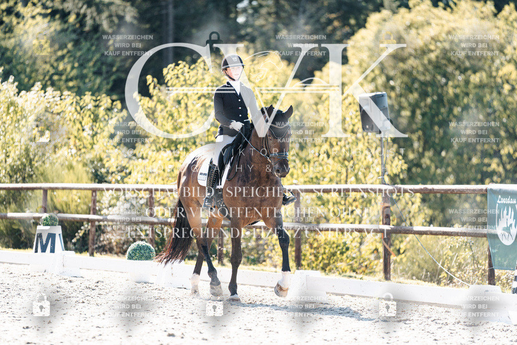 CK905882 | Turnierfotografie Pferdefotografie Trier Rheinland-Pfalz Pferdesport Reitsport Tierfotografie Sportfotografie Pferdevideo Pferdevideografie Equestrianvideography equestrianphotography  - Realisiert mit Pictrs.com