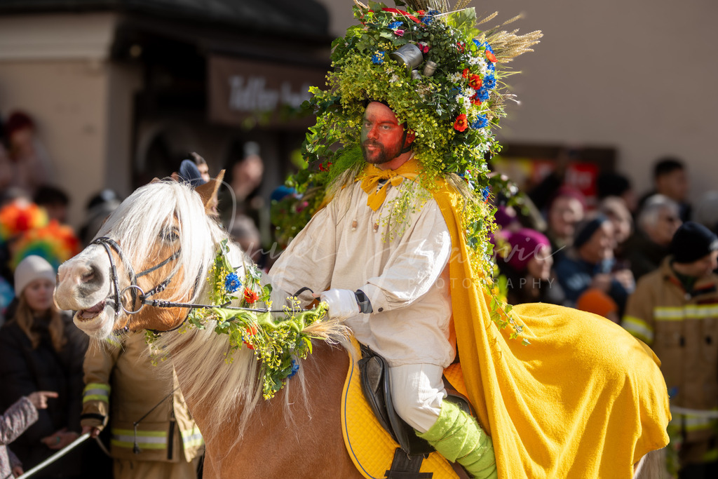 DSC00612 | Professioneller Fotograf - Bildbestellung online - Wandbilder vom Profi für ihr Zuhause, Büro, Praxis, Firma - große Auswahl an Materialien und Formaten, über 1400 regionale Motive