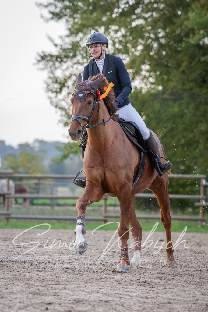 20251012-_3LI5980 | Tierfotografie Pferde, Hunde, Katzen, Haustiere.
Turnierfotografie Reitturniere, Reiten, Springreiten, Dressur in Hanau, dem Main-Kinzig-Kreis und dem Rhein-Main- Gebiet um Frankfurt