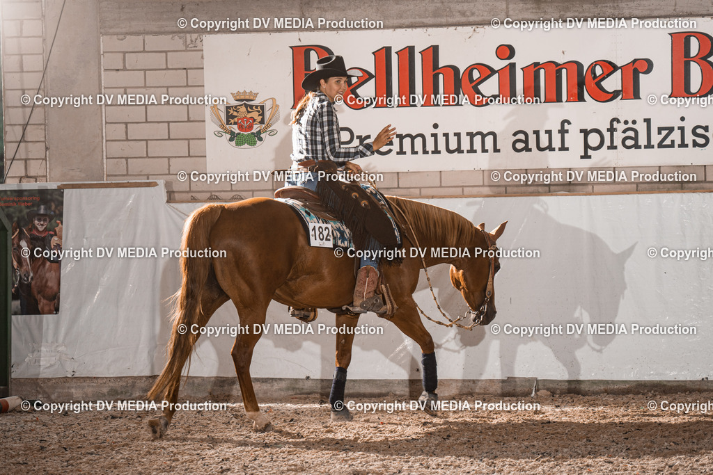 ZH101031 | dv-media-shop - Realisiert mit Pictrs.com