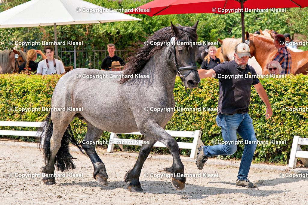 2A901140 | foto-team-bernhard - Realisiert mit Pictrs.com
