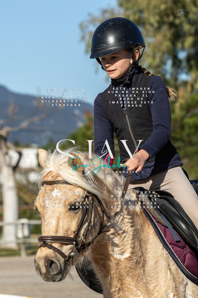 IMG_8012 | s-jay-photography - Realisiert mit Pictrs.com