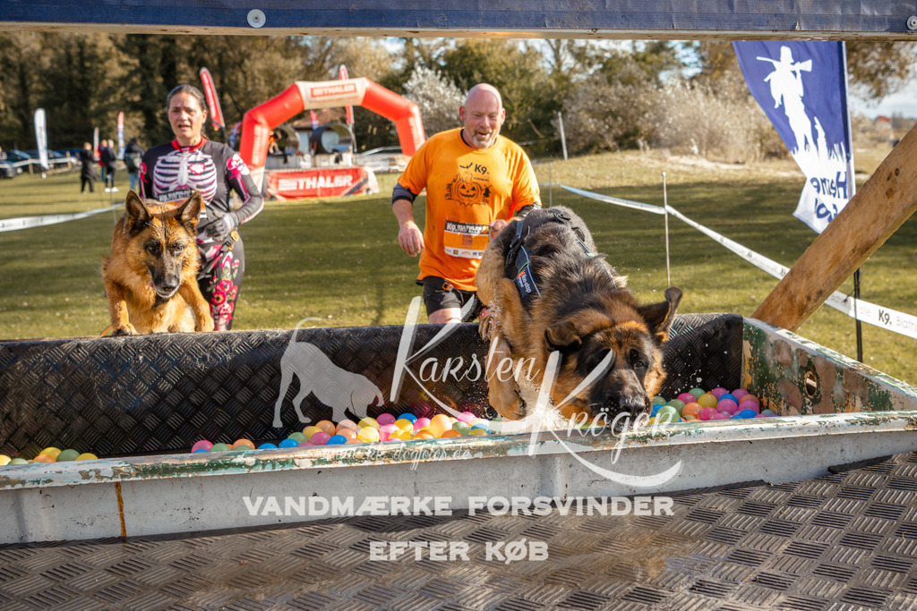 1457_ZZ95352-2 | kk-dogfotos