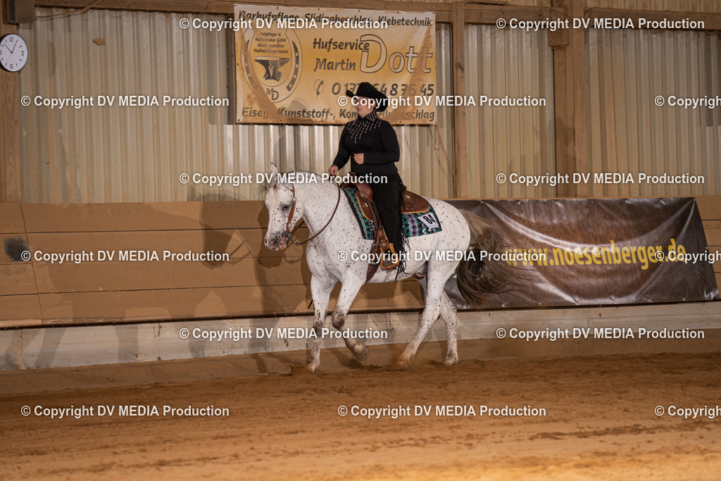 NID00485 | dv-media-shop - Realisiert mit Pictrs.com