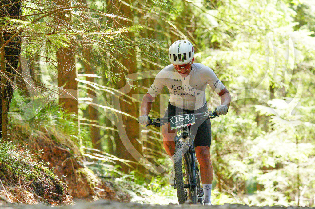 FC604183 | Fotogalerie der Treibjagd im Dunkelwald - Dein MTB Etappenrennen im Erzgebirge - Realisiert mit Pictrs.com