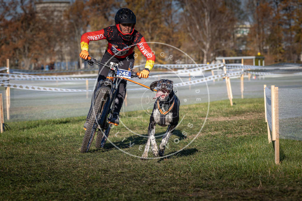 CaniXpix_0L8A4844 | Hundefotografie, Tierfotograf, Pfotenfotografie, Fotoshooting Hund, Hunde Portrait, Hundesport, Hundeportraits, Heideshooting, Hunde, Sportfotograf, Hundefotograf, Turnierhundsport, THS,  - Realisiert mit Pictrs.com