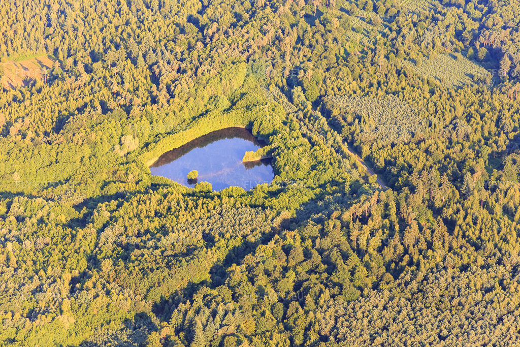 Vue aérienne: Étang dans la forêt à Betschdorf dans le département Bas Rhin, France.Photo: IMG_082913.jpg prise le 26/06/2015 par Werner Riehm/FLY-FOTO.euRésolution de l'original: 5472 x 3648 px