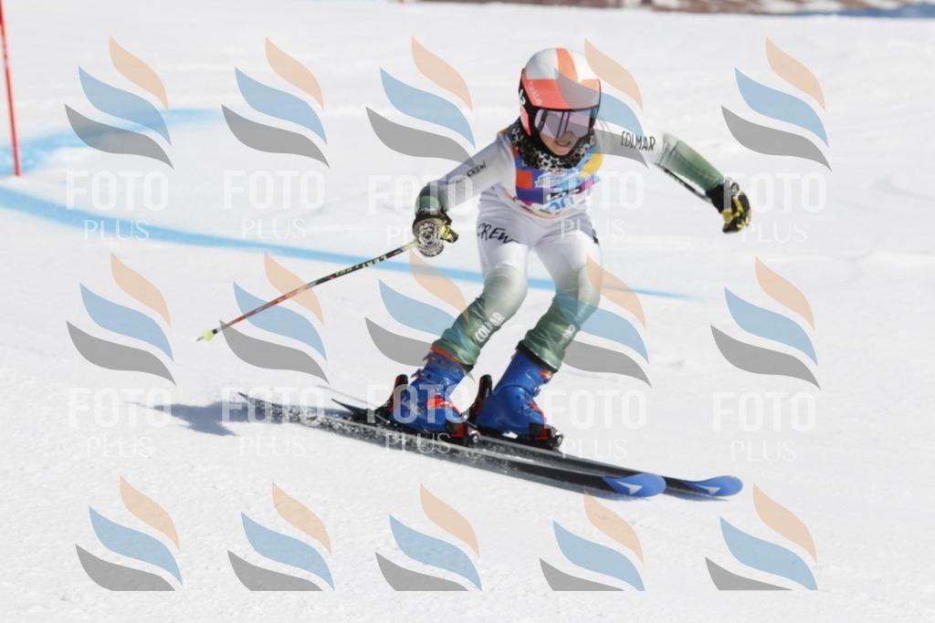 _U3G0164 | holidayphoto