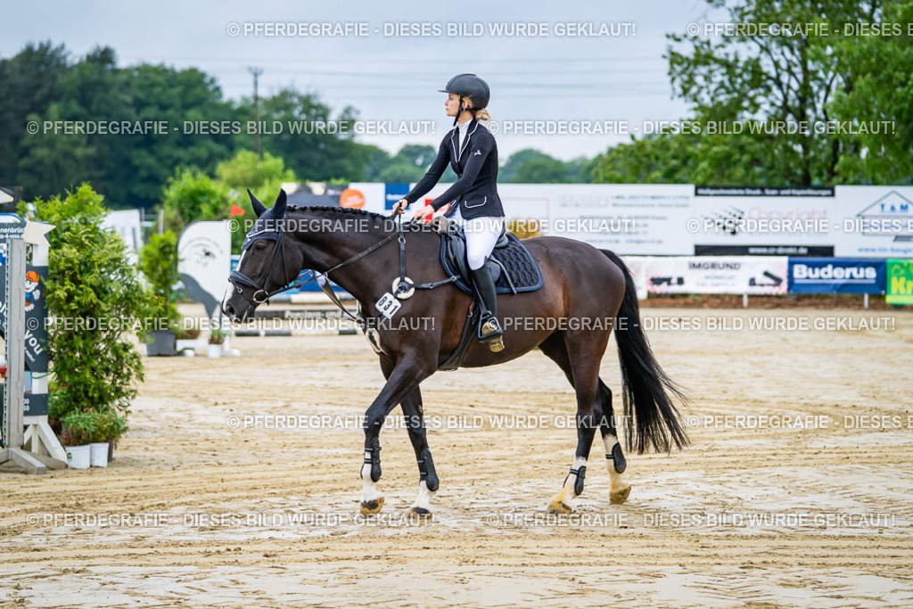 DSC00888 | Pferdegrafie