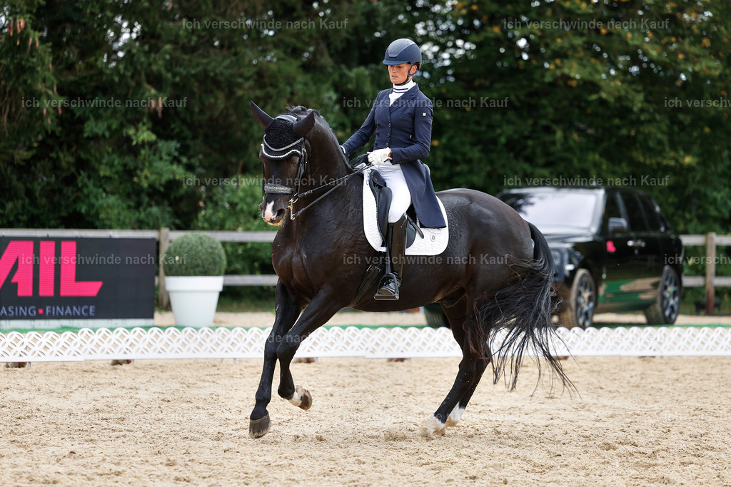 11-042-Dressur S___-StoibPH-1195 | working equitationturnier fotograf videograf stoibphotography marixx film working equitation deutschland reitsport turnierfotografie eventfotografie equestrian events