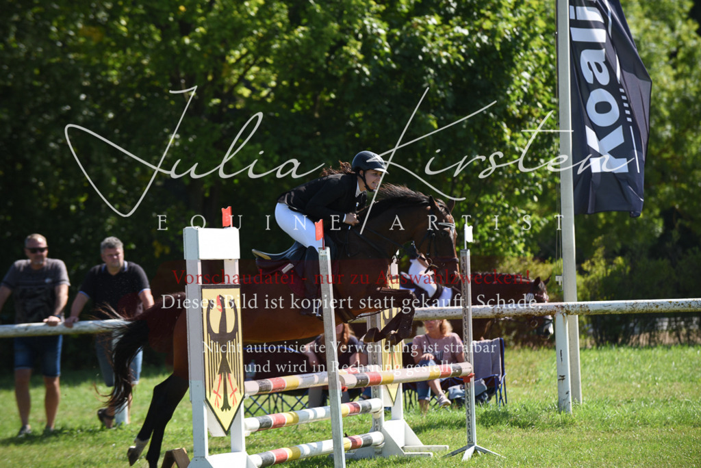 DSC_9261 | Pferde- und Turnierfotografie in Westsachsen. Pferdeportraits, Auftragszeichnungen und intuitive Kunst.