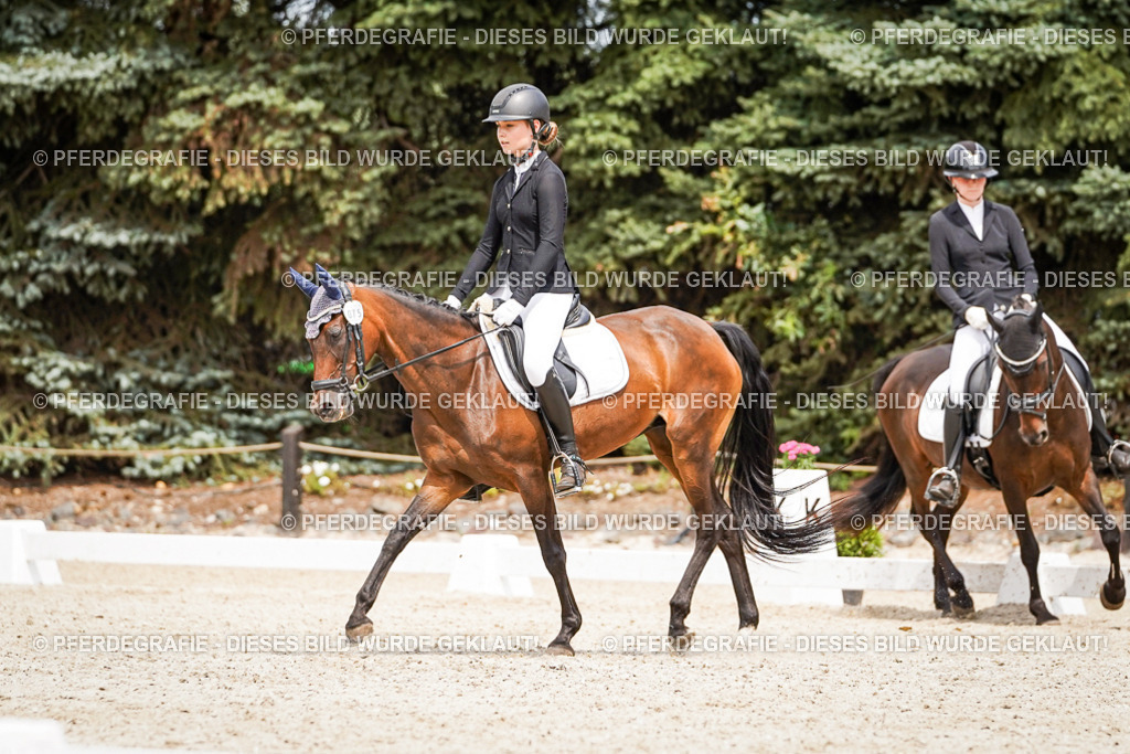 DSC04066 | Pferdegrafie