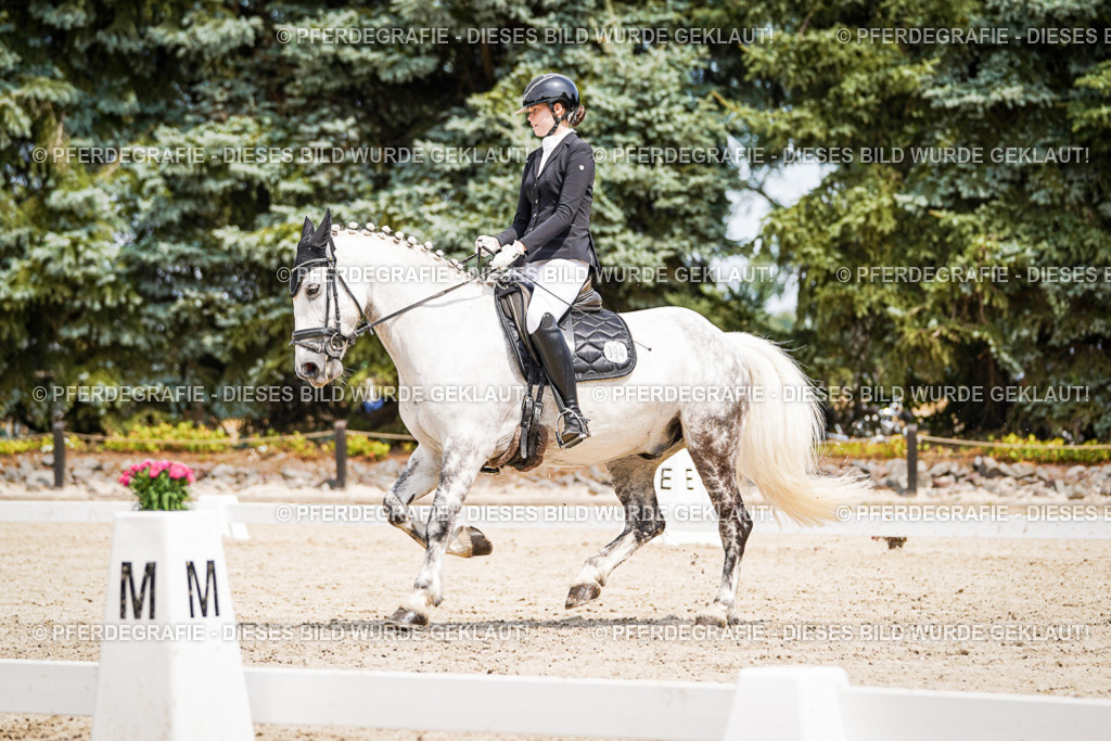 DSC03507 | Pferdegrafie