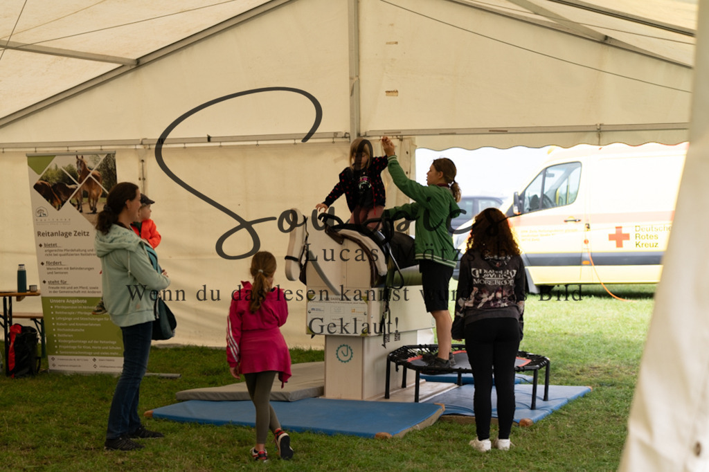 A7V05842 | Pferdefotograf