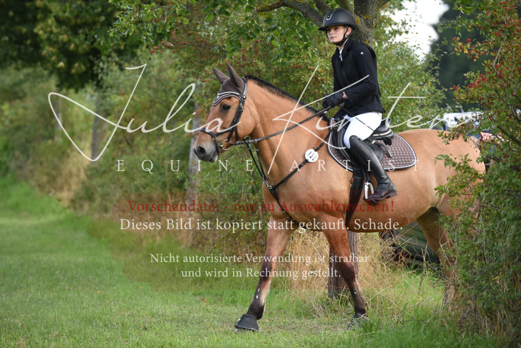 DSC_8596 | Pferde- und Turnierfotografie in Westsachsen. Pferdeportraits, Auftragszeichnungen und intuitive Kunst.