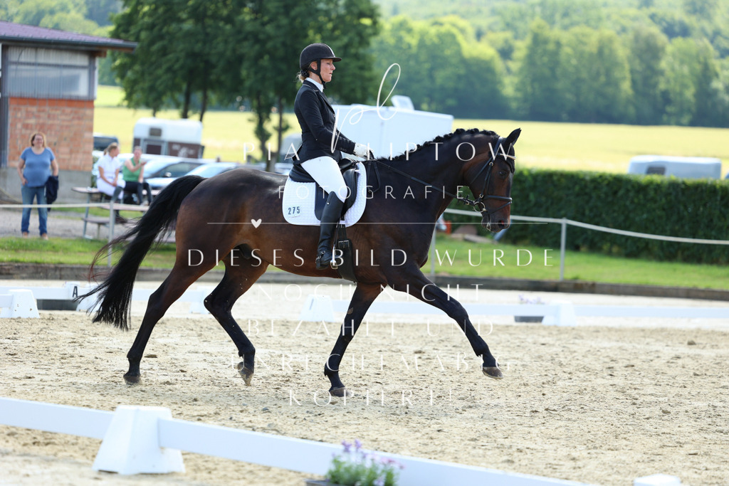 IMGM4196 | pl-fotografie