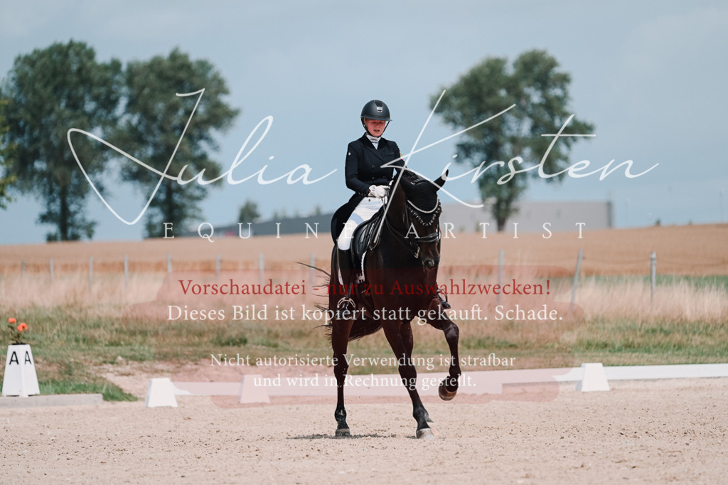 DSC_4351 | Pferde- und Turnierfotografie in Westsachsen. Pferdeportraits, Auftragszeichnungen und intuitive Kunst.