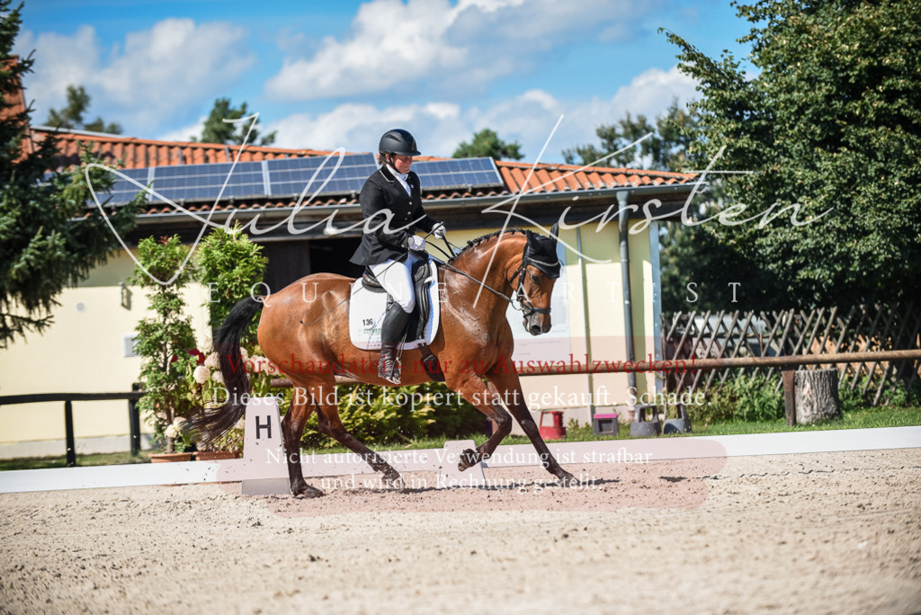 DSC_9643 | Pferde- und Turnierfotografie in Westsachsen. Pferdeportraits, Auftragszeichnungen und intuitive Kunst.