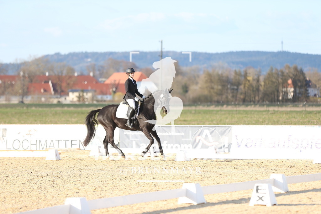 AS8V2169 | Willkommen bei Brunnmayr - Design & Fotografie – Ihrem Spezialisten für Reitturniere und Pferdeveranstaltungen in Oberösterreich, Salzburg und Bayern! Seit über 17 Jahren sind wir leidenschaftlich dabei.