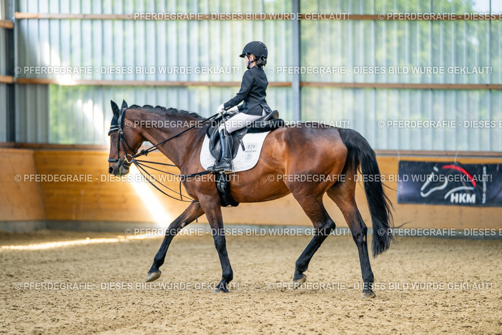 DSC02464 | Pferdegrafie