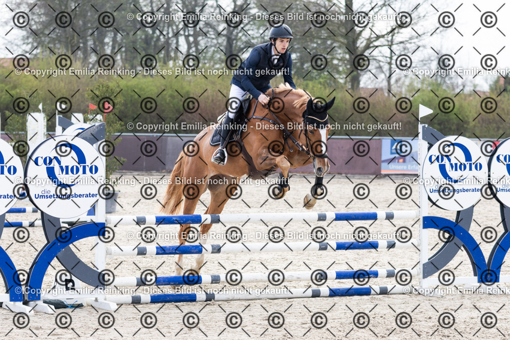 CL5A5024 | Emilia Reinking Fotografie - Realisiert mit Pictrs.com