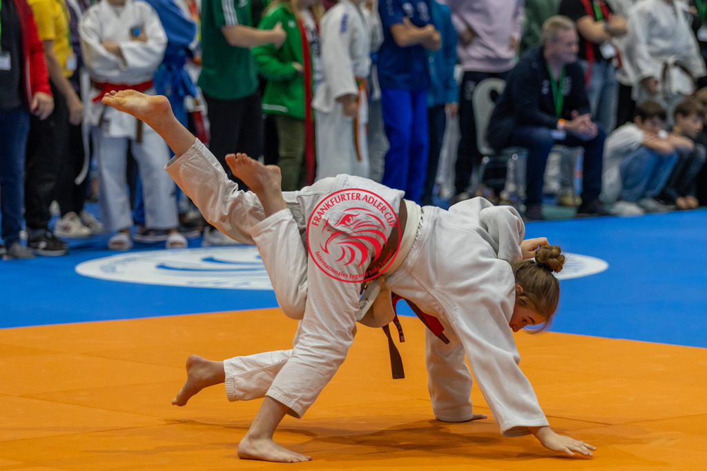 Internationaler Adler Cup 2024 | Foto vom Internationalen Adler Cup Judo Turnier im Sport- und Freizeitzentrum Kalbach im Oktober 2024 - Realisiert mit Pictrs.com