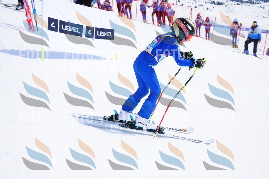 DSC_1472 | holidayphoto