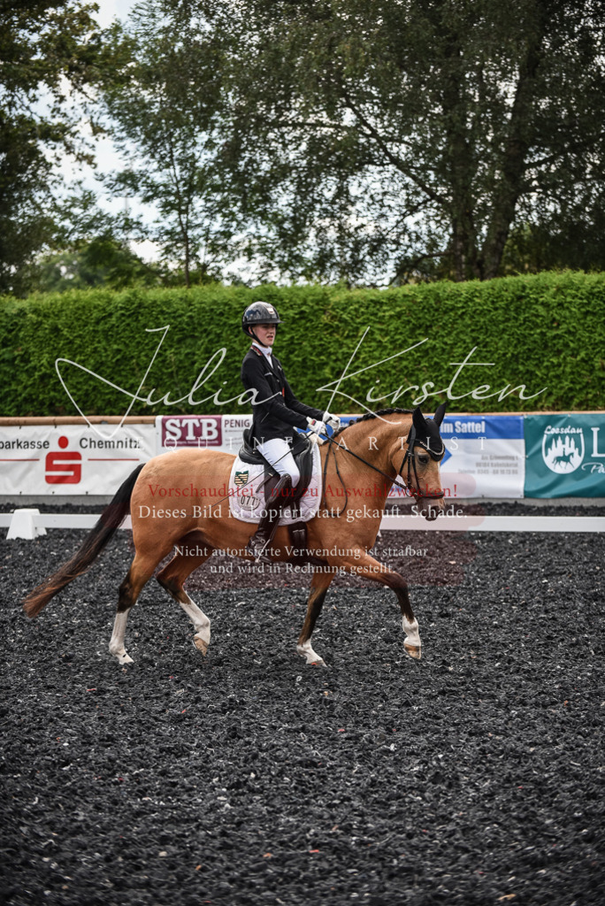 DSC_4425 | Pferde- und Turnierfotografie in Westsachsen. Pferdeportraits, Auftragszeichnungen und intuitive Kunst.