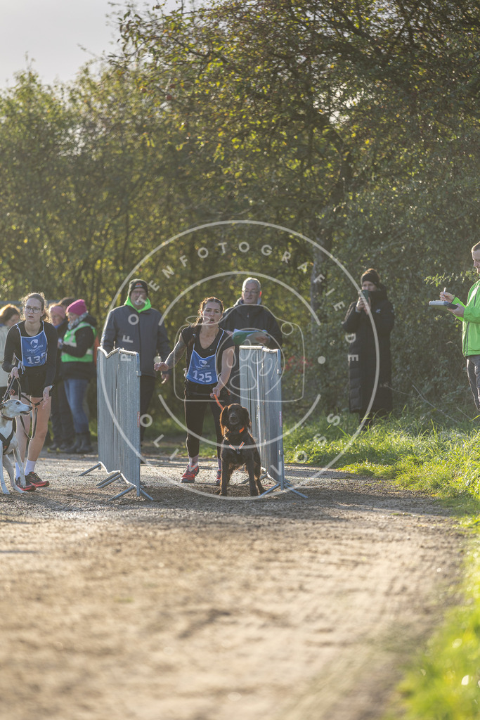 Pfotenfotografie.de_DV3A2960 | Hundefotografie, Tierfotograf, Pfotenfotografie, Fotoshooting Hund, Hunde Portrait, Hundesport, Hundeportraits, Heideshooting, Hunde, Sportfotograf, Hundefotograf, Turnierhundsport, THS, canicross - Realisiert mit Pictrs.com