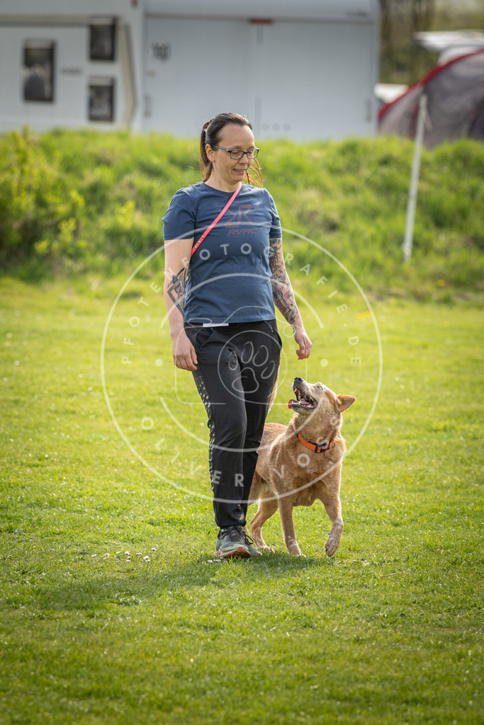Pfotenfotografie_DV3A4982 | Hundefotografie, Tierfotograf, Pfotenfotografie, Fotoshooting Hund, Hunde Portrait, Hundesport, Hundeportraits, Heideshooting, Hunde, Sportfotograf, Hundefotograf, Turnierhundsport, THS,  - Realisiert mit Pictrs.com