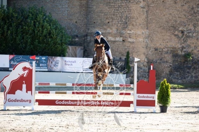 2B4A0194 | pixelfaenger - Realisiert mit Pictrs.com