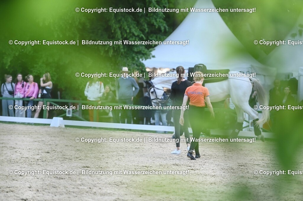 D78_3357 | equistock