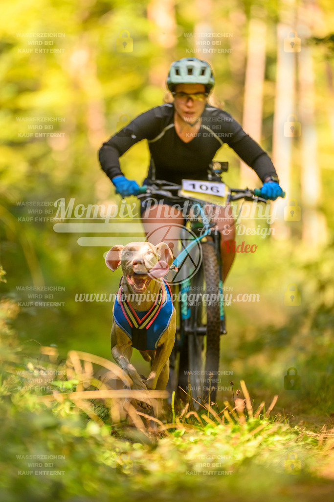 MompixPhotography_Yens2025_B2-90 | PayLife