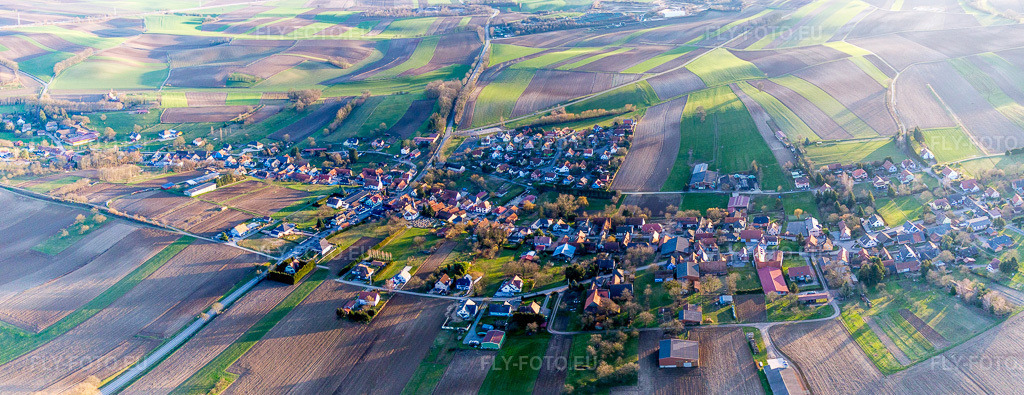 Vue aérienne: Champs agricoles et terres arables à Wintzenbach dans le département Bas Rhin, France. Photo: IMG_086031-Pano.jpg prise le 06/02/2016 par Werner Riehm/FLY-FOTO.eu – Résolution de l'original: 7446 x 2870 px