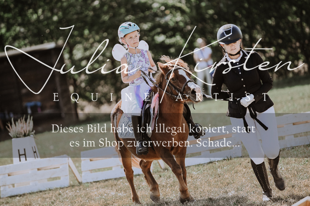 DSC_9054 | Pferde- und Turnierfotografie in Westsachsen. Pferdeportraits, Auftragszeichnungen und intuitive Kunst.