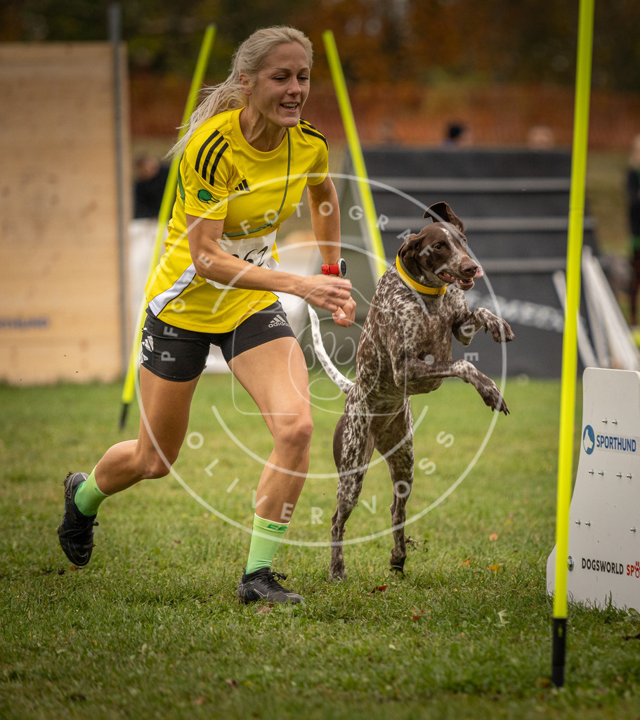 Pfotenfotografie_DV3A6849 | Hundefotografie, Tierfotograf, Pfotenfotografie, Fotoshooting Hund, Hunde Portrait, Hundesport, Hundeportraits, Heideshooting, Hunde, Sportfotograf, Hundefotograf, Turnierhundsport, THS,  - Realisiert mit Pictrs.com