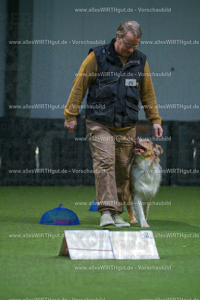 7R500521 | Professionelle Tierfotografie in Mönchengladbach von Daniel Wirth (allesWIRTHgut). Liebevolle & natürliche Bilder von Hunden & Katzen für unvergessliche Erinnerungen.