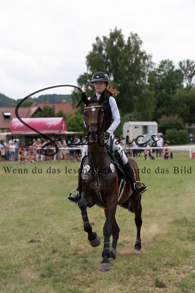 A7V02157 | Pferdefotograf