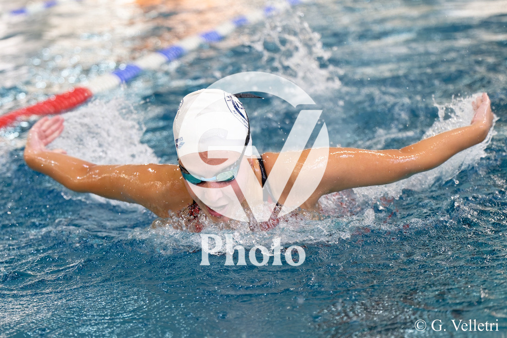 DSC_8327 | Velletri Photo