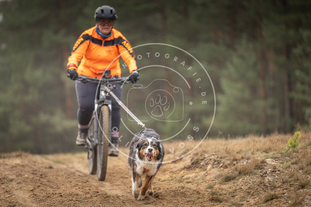 Pfotenfotografie_DV3A3953 | Hundefotografie, Tierfotograf, Pfotenfotografie, Fotoshooting Hund, Hunde Portrait, Hundesport, Hundeportraits, Heideshooting, Hunde, Sportfotograf, Hundefotograf, Turnierhundsport, THS,  - Realisiert mit Pictrs.com