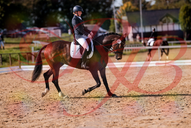 2026_10_03_Siefer-Hof_125750_Z81_46806821 | Professionelle Reitsport-, Turnier- und Eventfotografie von Robert Broda. Galerien mit ausgewählten und bearbeiteten Bildern direkt online ansehen und bestellen.