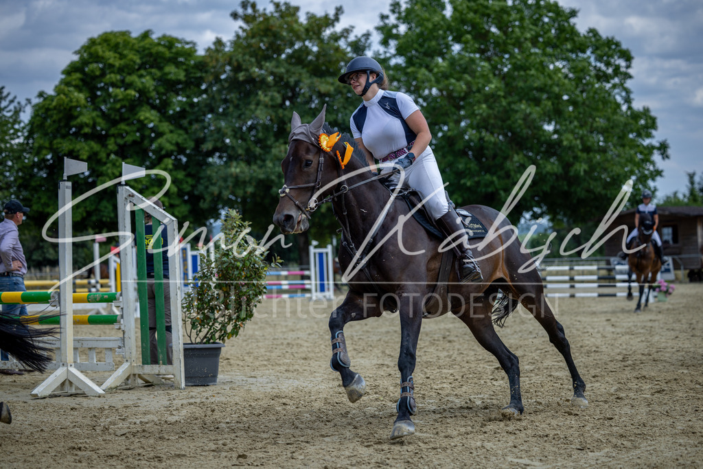 20260704-_3LI1201 | Tierfotografie Pferde, Hunde, Katzen, Haustiere.
Turnierfotografie Reitturniere, Reiten, Springreiten, Dressur in Hanau, dem Main-Kinzig-Kreis und dem Rhein-Main- Gebiet um Frankfurt