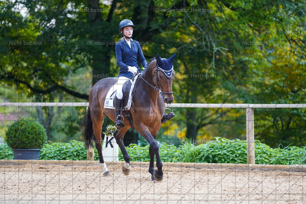 20221008-FAH00712 | Diessen am Ammersee, 2022, Dressur- und Springturnier, Reitsportbilder, Turnierfotografen Bayern, Pferdefotografen, Fotoagentur Herrmann, Turnierbilder