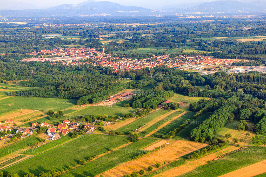 Luftbild: Ortsansicht von Nordwesten in Seltz im Bundesland Bas-Rhin in Frankreich. – Foto: IMG_30620.jpg vom 09.07.2010 durch Werner Riehm/FLY-FOTO.de – Auflösung des Originals: 4752 x 3168 px
